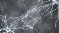 Glowing neurons and synaptic connections on dark gray background, depicting brain activity and neural network communication in neuroscience.