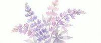Watercolor lupine flowers in soft purple and pink tones isolated on white background, suitable for botanical designs, greeting cards, and decorative projects.