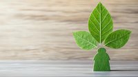 Green leaf arranged in human silhouette shape on wooden background symbolizing eco-friendly lifestyle, environmental consciousness and sustainable living.