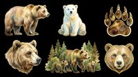 Watercolor bear clipart set with grizzly, polar bear, paw print, and forest scene, isolated on transparent background, ready for stickers, t-shirt design, and print on demand.