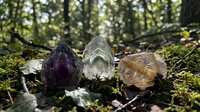 Three healing crystals amethyst quartz citrine arranged on moss in sunlit forest setting for meditation spiritual wellness and natural energy practices.