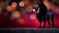 Majestic lion standing proudly against vibrant bokeh lights background. Powerful wild animal silhouette with dramatic lighting for wildlife and nature themes.