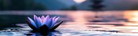 Serene water lily floating on calm lake surface at sunset, purple petals reflecting in rippling water against warm orange sky background.