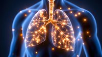 Glowing human lungs with illuminated bronchi and alveoli in blue silhouette of torso showing respiratory system anatomy with light effects for medical visualization.