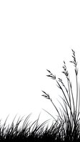 Black silhouette of wild grass and reeds on white isolated background, minimalist botanical design element for nature-themed projects and decorative use.
