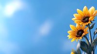 Vibrant yellow sunflowers against bright blue summer sky with soft white clouds, creating natural composition with copy space for seasonal designs and nature themes.