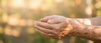 Elderly hands cupped together in warm golden sunlight with soft bokeh background. Concept of hope, prayer, spirituality and aging with dignity.