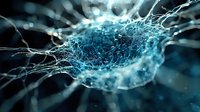Microscopic view of neural network connections in blue tones showing synaptic activity and brain cell communication pathways in scientific visualization style.