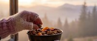 Person in warm knit sweater holding bowl of mixed nuts and dried fruits with mountain forest landscape at sunrise or sunset in background.