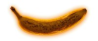 Ripe banana with brown spots isolated on white background, ready for design use on merchandise, packaging, and culinary marketing materials.