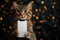 Adorable tabby kitten holding blank smartphone with paws against warm bokeh lights background for holiday marketing and pet technology concepts.