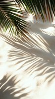 Palm leaves casting soft shadows on white wall in natural sunlight, creating minimalist tropical pattern for modern interior design and summer mood backgrounds.