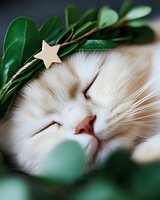 Sleeping cream cat with green leaves and wooden star decoration on head, creating peaceful holiday mood for pet photography.