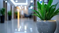 Green peace lily plant in modern gray ceramic pot with bokeh lights in background, creating calm office atmosphere for interior design and workspace decor.
