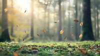 Autumn leaves dancing in sunlit forest with magical morning mist, moss-covered ground and dreamy bokeh lights creating ethereal woodland atmosphere.