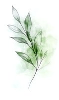 Delicate watercolor botanical illustration of transparent green leaves on white background, perfect for wellness branding and minimalist decor.