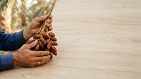 Mature male hands holding fresh dates on wooden surface, harvesting and agriculture concept for food production and farming industry.