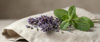 Fresh lavender sprigs and mint leaves arranged on natural linen fabric for aromatherapy, herbal medicine, spa treatments and organic wellness concepts.