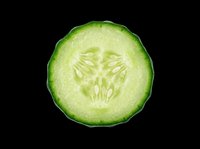 Cucumber slice cross-section isolated on transparent background, ready for clipart, t-shirt design, print-on-demand products, stickers, and sublimation projects.