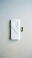 Folded white linen napkin with fresh green leaf on neutral background, representing natural textile care, eco-friendly cleaning, and organic wellness concepts for design projects.