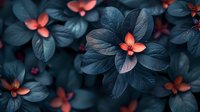 Coral pink flowers with dark teal leaves create moody garden composition. Dramatic nature macro photography shows delicate petals against deep blue-green foliage.