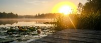 Peaceful lake sunset with wooden dock and reeds creating serene waterscape for relaxation and nature photography backgrounds.