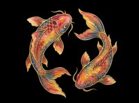 Pair of ornamental koi fish with vibrant red, orange, and gold scales isolated on transparent background, ready for t-shirt designs, stickers, clipart, and print-on-demand products.