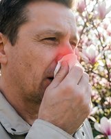 Middle-aged Caucasian man blowing nose with tissue during spring allergy season with blooming magnolia flowers in background showing seasonal pollen reaction.