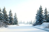 Serene winter landscape with snow-covered pine trees creating natural pathway through pristine white forest, perfect for seasonal holiday designs.