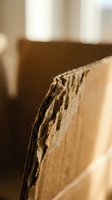 Close-up of torn corrugated cardboard edge showing layered structure and texture in warm natural lighting for packaging and shipping concepts.