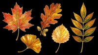 Autumn leaves in shades of red, orange, and gold isolated on transparent background. Ready for t-shirt designs, clipart, stickers, sublimation, print-on-demand products and digital crafts.
