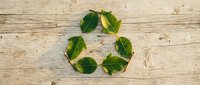 Green leaves arranged in recycling symbol on wooden surface, representing environmental sustainability and eco-friendly practices.