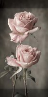 Delicate pink roses in soft vintage style against dark background, romantic floral composition with gentle petals and muted tones for wedding and valentines designs.