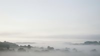Misty morning landscape with fog rolling over hills and trees creating serene atmospheric scene for nature backgrounds and peaceful meditation content.