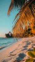 Golden palm fronds frame a tranquil tropical beach scene with white sand and turquoise water at sunset, creating a serene vacation atmosphere.