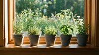 Fresh herbs growing in gray pots on a sunny wooden windowsill with a lush garden view, evoking home cooking and natural living.