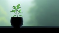 Young green plant growing in black minimalist pot against soft blurred green background, symbolizing growth, new beginnings and sustainability concepts.