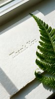 Handmade textured paper card with embossed Thank You text and fresh green fern leaf in natural sunlight, eco-friendly stationery concept.