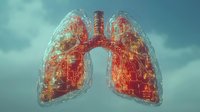Glowing anatomical lungs with intricate network of bronchi and blood vessels against turquoise background showing respiratory system structure and function.