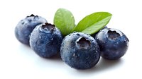 Fresh ripe blueberries with water drops and green leaves on white background, macro shot of juicy berries for healthy eating and natural food design.