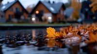 Fallen autumn oak leaves floating on dark water surface with blurred residential houses and bokeh lights in background creating moody fall atmosphere.