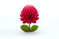 Vibrant red tropical flower with layered petals and green leaves isolated on white background, botanical art style composition for nature and floral designs.