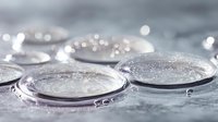 Clear contact lenses with water droplets on wet surface, showcasing transparency and hydration for eye care products.