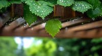 Fresh green leaves with morning dew drops against wooden fence background, natural bokeh effect creates dreamy garden atmosphere. For nature and lifestyle designs.