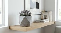 Modern minimalist home decor with geometric concrete planter, succulent plant, books and vase on floating wooden shelf near bright window for interior design.