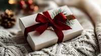 Elegant Christmas gift box wrapped in white paper with red velvet bow and pine sprig on cozy knitted blanket.