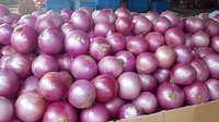 Fresh purple onions arranged in market display, showing vibrant color and natural texture. Raw organic produce background showcases quality farm vegetables.