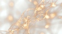 Warm golden fairy lights with copper wire creating magical bokeh glow on soft white fabric background for holiday decoration and festive atmosphere.