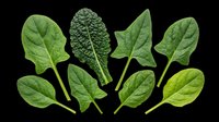 Fresh green spinach and kale leaves set, isolated on transparent background. Ready for t-shirt design, stickers, clipart, print on demand, and sublimation projects.
