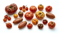 Assorted heirloom tomato varieties in different sizes and shades of red, orange, and brown arranged on white background for culinary and agricultural use.
